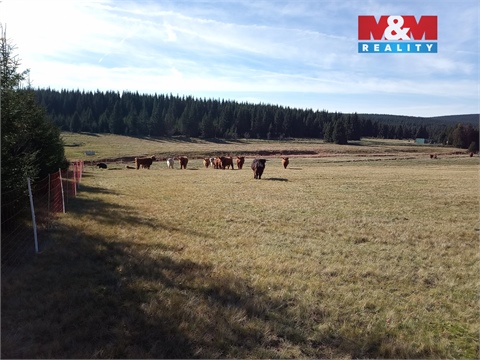 Prodej louky, 18 695 m² - 10