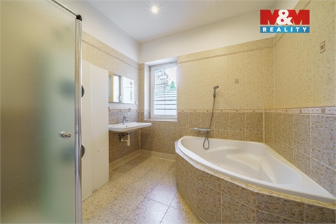 Pronájem rodinného domu, 244 m² 6