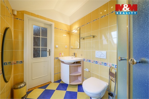 Pronájem rodinného domu, 244 m² 14