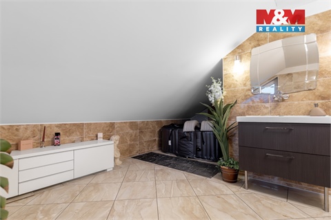 Prodej rodinného domu, 393 m² - 10