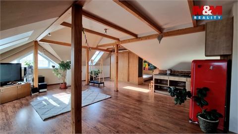 Prodej rodinného domu, 294 m² - 10