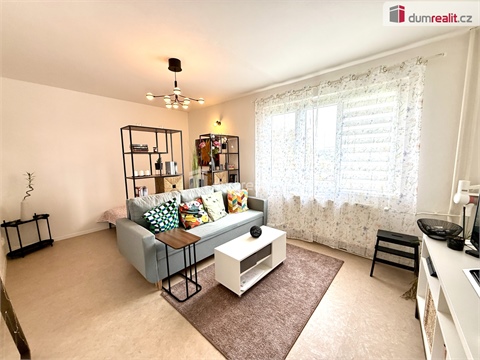 Pronájem bytu 1+1, 36 m² - 4