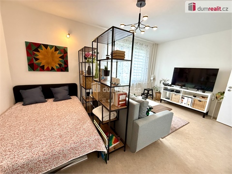 Pronájem bytu 1+1, 36 m² - 8