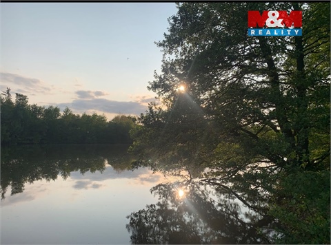 Prodej louky, 1 807 m² - 2