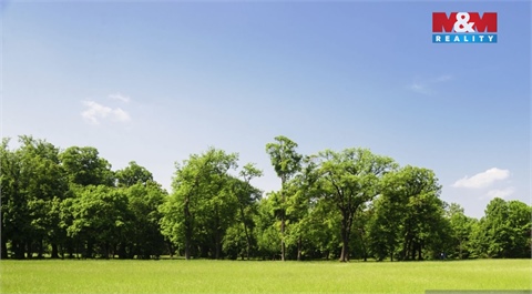 Prodej louky, 1 807 m² 2