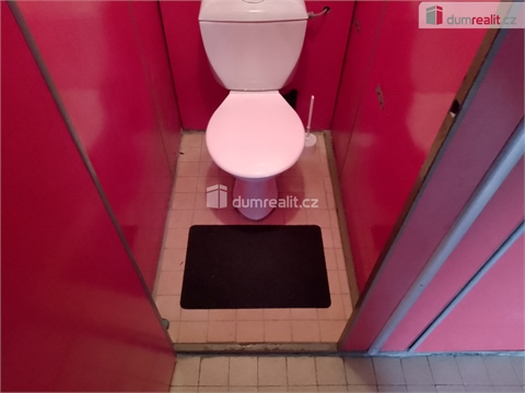 Pronájem bytu 2+1, 56 m² 8