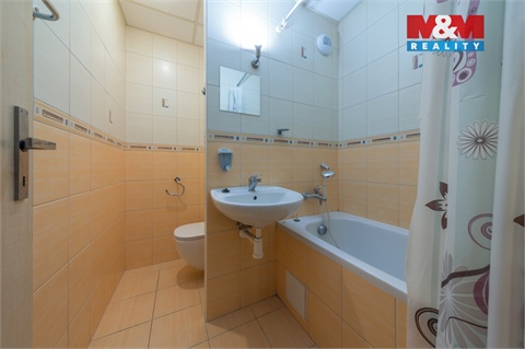 Pronájem bytu 1kk, 32 m² - 4