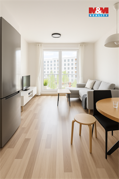 Pronájem bytu 3+1, 68 m² - 4