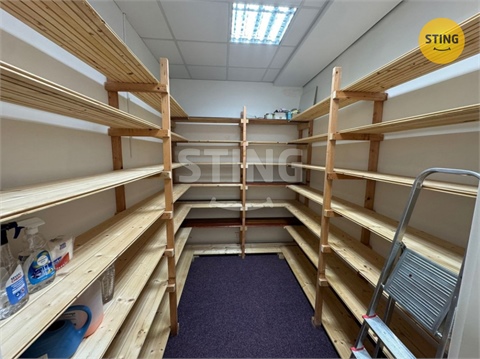 Pronájem bytu 3kk, 118 m² 4