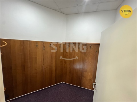 Pronájem bytu 3kk, 118 m² 10