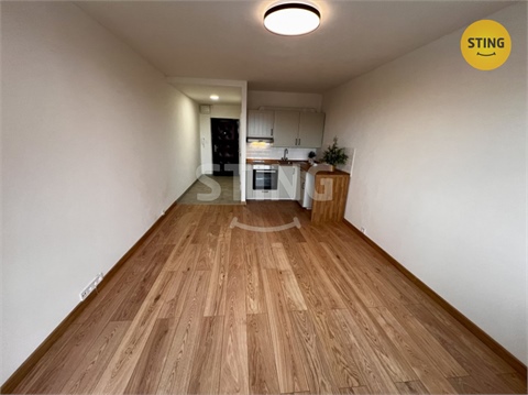 Pronájem bytu 1kk, 29 m² - 4