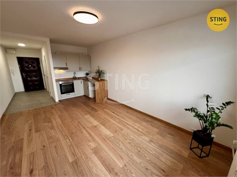 Pronájem bytu 1kk, 29 m² 4
