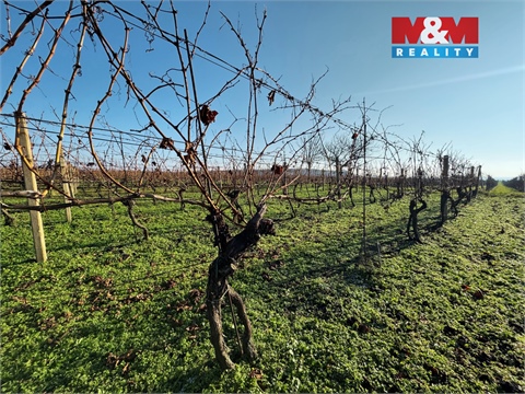 Prodej zemědělské půdy, 3 600 m² - 4