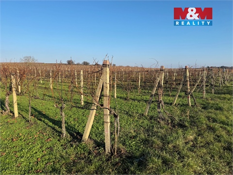 Prodej zemědělské půdy, 3 600 m² 4