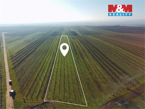 Prodej zemědělské půdy, 7 286 m² - 0