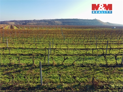 Prodej zemědělské půdy, 7 286 m² 4