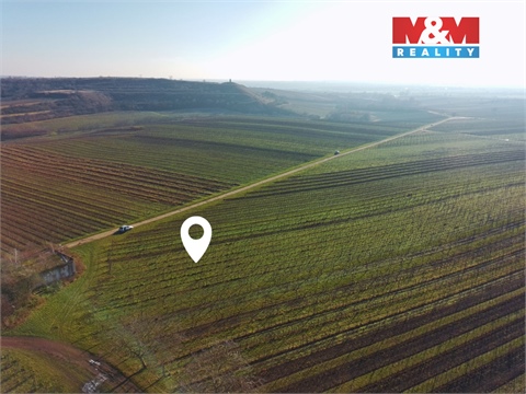 Prodej zemědělské půdy, 7 286 m² - 2