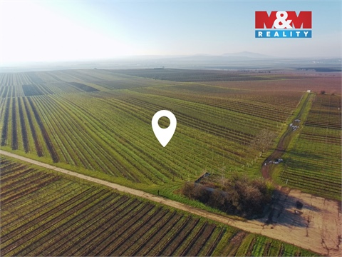 Prodej zemědělské půdy, 7 286 m² 2