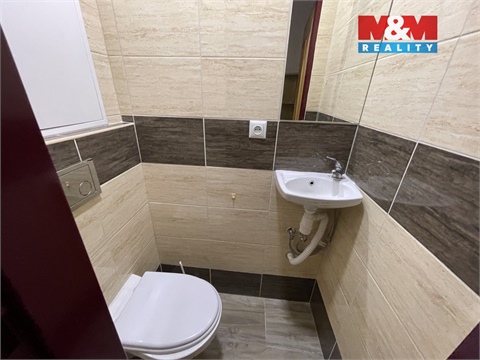 Pronájem bytu 3+1, 60 m² 4