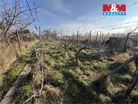 Prodej chaty / chapuly, 21 m² - 4