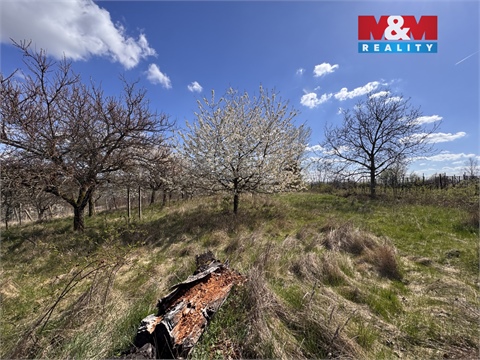 Prodej chaty / chapuly, 21 m² - 22