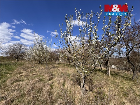 Prodej chaty / chapuly, 21 m² - 28