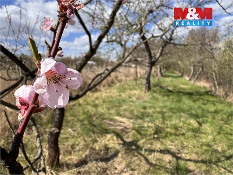 Prodej chaty / chapuly, 21 m² 28