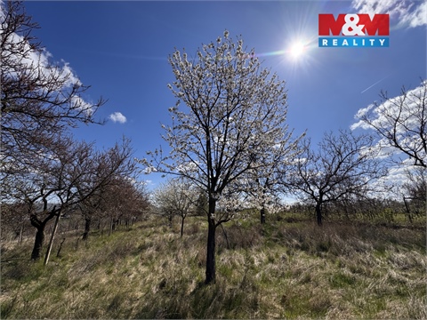 Prodej chaty / chapuly, 21 m² - 24