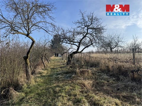 Prodej chaty / chapuly, 21 m² 10