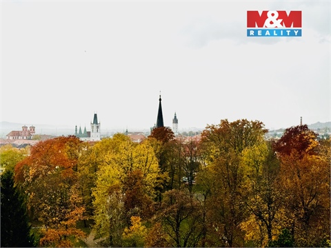 Prodej bytu 1+1, 45 m² - 0