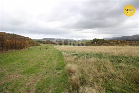 Prodej louky, 2 457 m² - 2