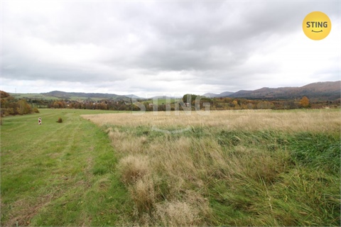 Prodej louky, 2 457 m² 2