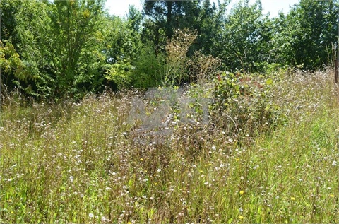 Prodej rodinného domu, 160 m² 18