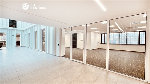 Pronájem kanceláře, 420 m² - 16