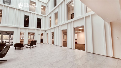 Pronájem kanceláře, 297 m² - 16