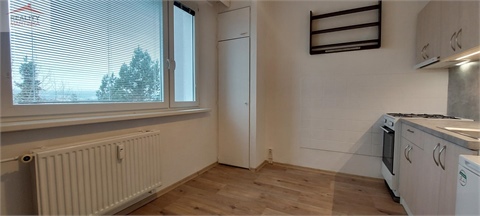 Pronájem bytu 2+1, 43 m² - 22