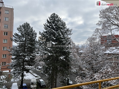 Prodej bytu 3+1, 67 m² 6