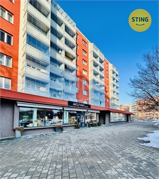 Pronájem bytu 2+1, 53 m² - 12