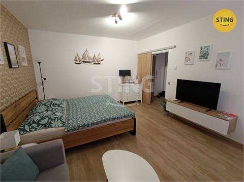 Pronájem bytu 1+1, 36 m² 4