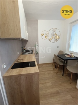 Pronájem bytu 1+1, 36 m² - 0