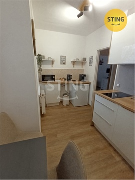 Pronájem bytu 1+1, 36 m² 2