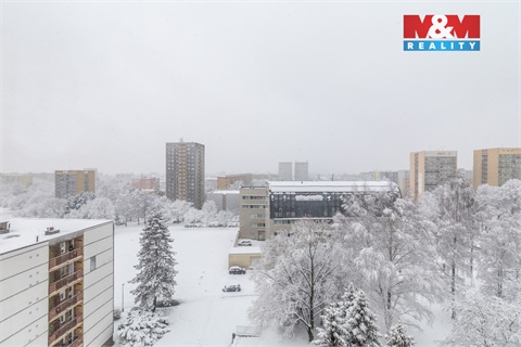 Prodej bytu 3+1, 75 m² 8