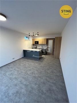 Pronájem bytu 1kk, 35 m² 14