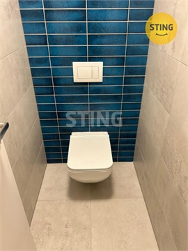 Pronájem bytu 3kk, 60 m² 8