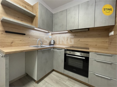 Pronájem bytu 1+1, 38 m² 0