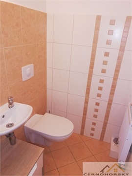 Pronájem bytu 1kk, 75 m² - 10