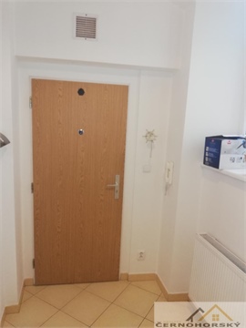 Pronájem bytu 1kk, 75 m² 14