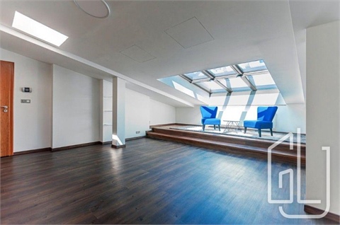 Pronájem bytu 3kk, 153 m² 8