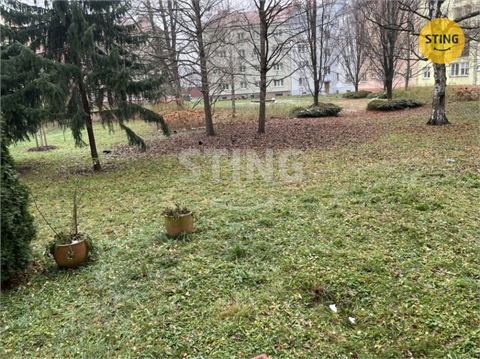 Pronájem bytu 1+1, 50 m² - 6