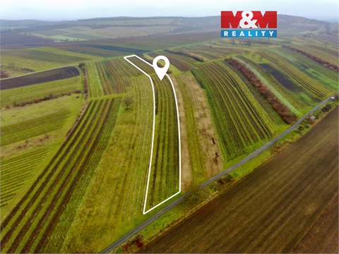 Prodej zemědělské půdy, 6 580 m² 0